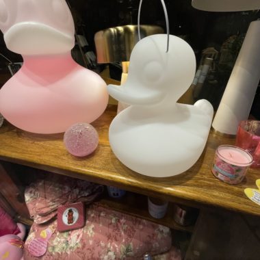 Duck lamp, canard, lampe, piscine