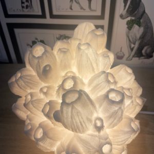 Lampe corail